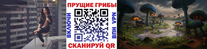 Галлюциногенные грибы MAGIC MUSHROOMS кракен сайт Троицк хочу