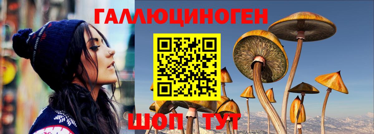 Галлюциногенные грибы GOLDEN TEACHER  Псилоцибиновые грибы мицелий  Троицк  Вход с VPN 